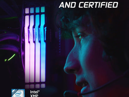 Kingston Fury Beast RGB 64GB