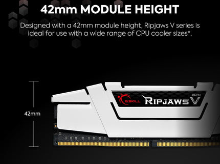 G.SKILL RipjawsV Series DDR4 RAM