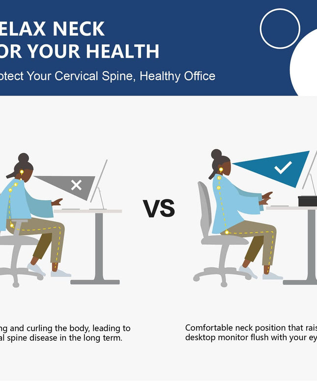 FITUEYES 2-Tier Monitor Stand