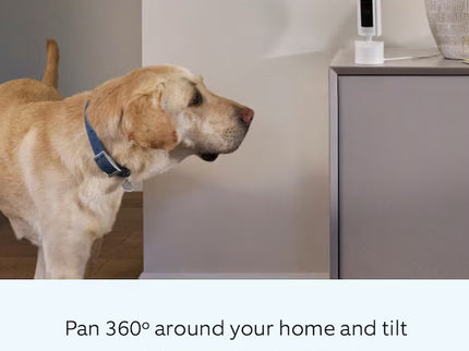 Ring Pan-Tilt Indoor Cam with 360 Degree Horizontal Pan Coverage, Live View & Two-Way Talk, and HD Video, Blush