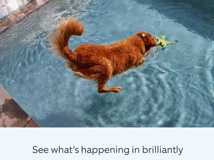 Ring Spotlight Cam Pro, Plug-In with 2K Video and Ring Vision, LED Lights, Dual-Band Wifi, and 3D Motion Detection, Black