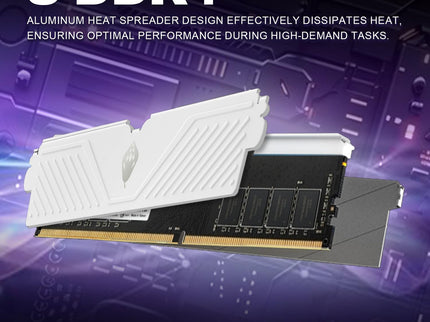 ANACOMDA S DDR4 PC RAM