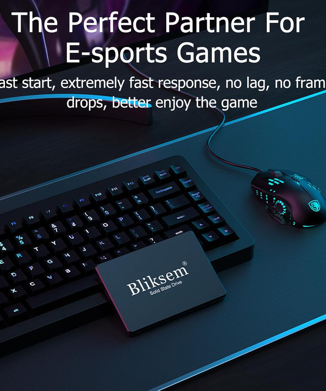 Bliksem SSD 512GB SATA III 6Gb/s Internal Solid State Drive 2.5