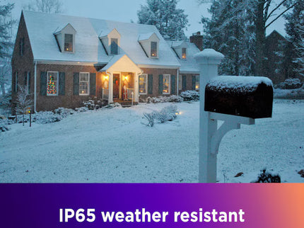 Roku Floodlight Camera Wired