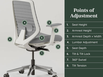Branch Ergonomic Chair – Adjustable Lumbar