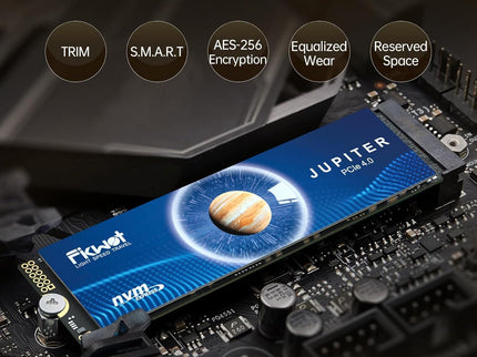 FX991 M.2 SSD 1TB NVMe SSD