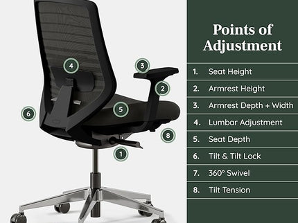 Branch Ergonomic Chair with Lumbar Support
