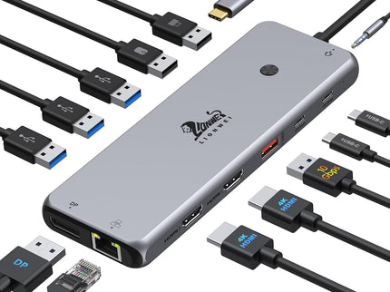 13 in 1 USB C Docking Station - Dual Monitor