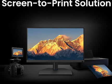 BenQ SW242Q 24" 2K Photographer Monitor