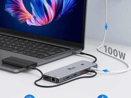 13 in 1 USB C Docking Station - Dual Monitor