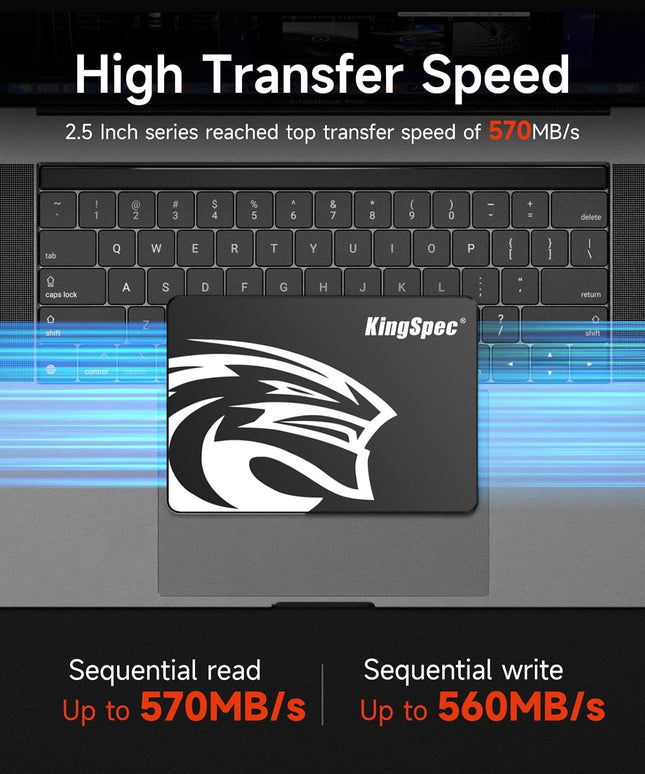 KingSpec 1TB 2.5 SSD SATA III Internal - 550MB