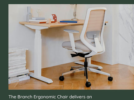 Branch Ergonomic Chair – Adjustable Lumbar