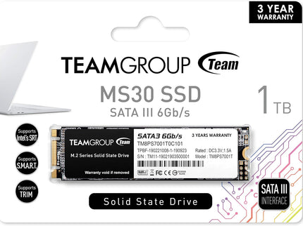 TEAMGROUP MS30 1TB with SLC Cache 3D NAND TLC M.2 2280 SATA III