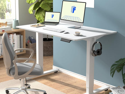 FlexiSpot EN1 Standing Desk