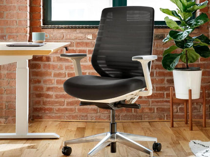 Branch Ergonomic Chair – Adjustable Lumbar
