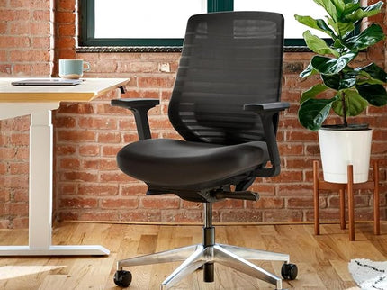 Branch Ergonomic Chair with Lumbar Support