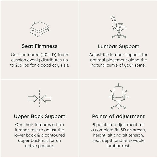 Branch Ergonomic Chair with Lumbar Support