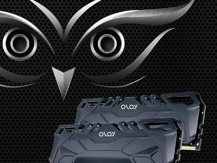 OLOy DDR4 RAM 16GB (2x8GB) Black Owl 2666 MHz