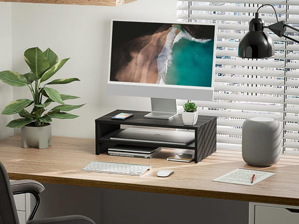 FITUEYES 2-Tier Monitor Stand