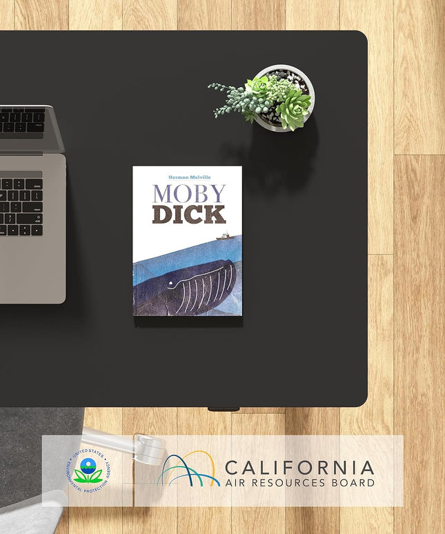 FlexiSpot EN1 Standing Desk