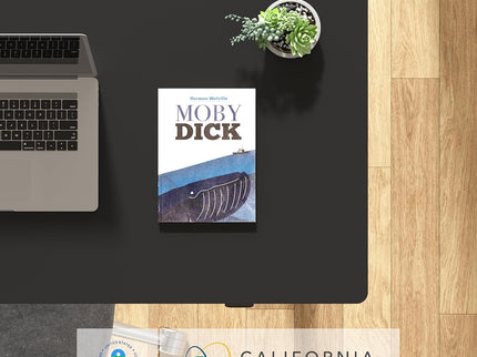 FlexiSpot EN1 Standing Desk