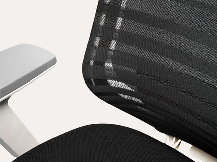 Branch Ergonomic Chair – Adjustable Lumbar