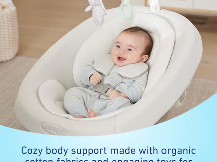 SmartSense™ Soothing Baby Swing