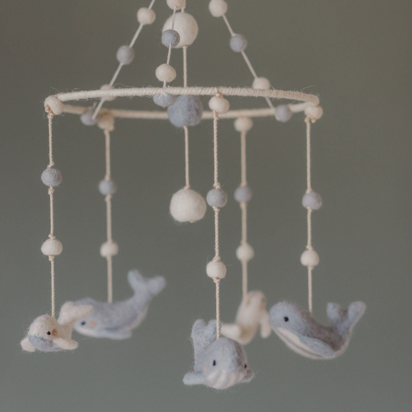 D200146, Follow Me Whale