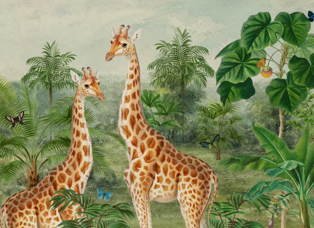 Giraffa