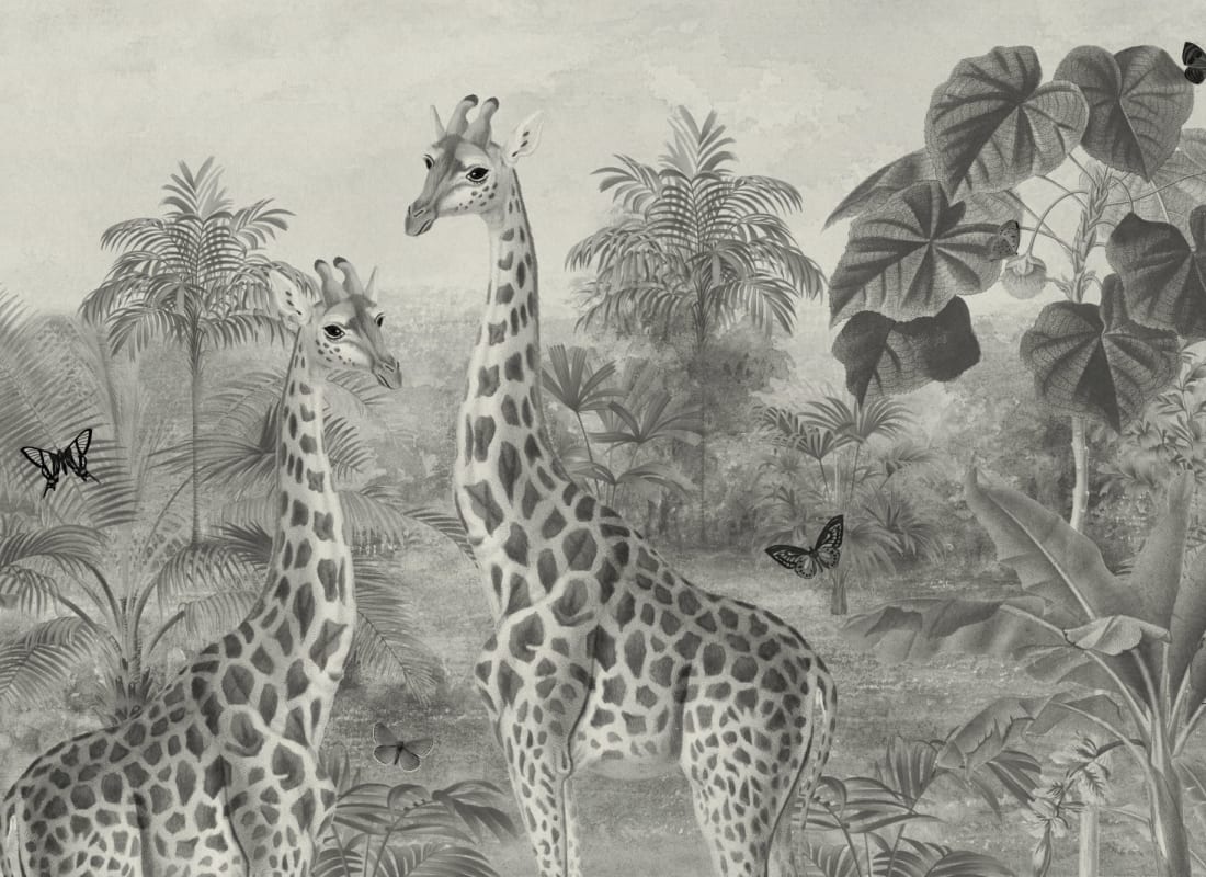Giraffa Grey