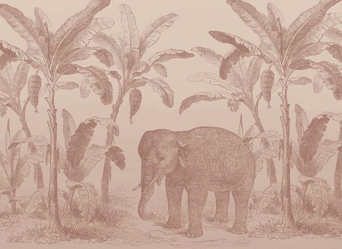 Loxodonta Terracotta