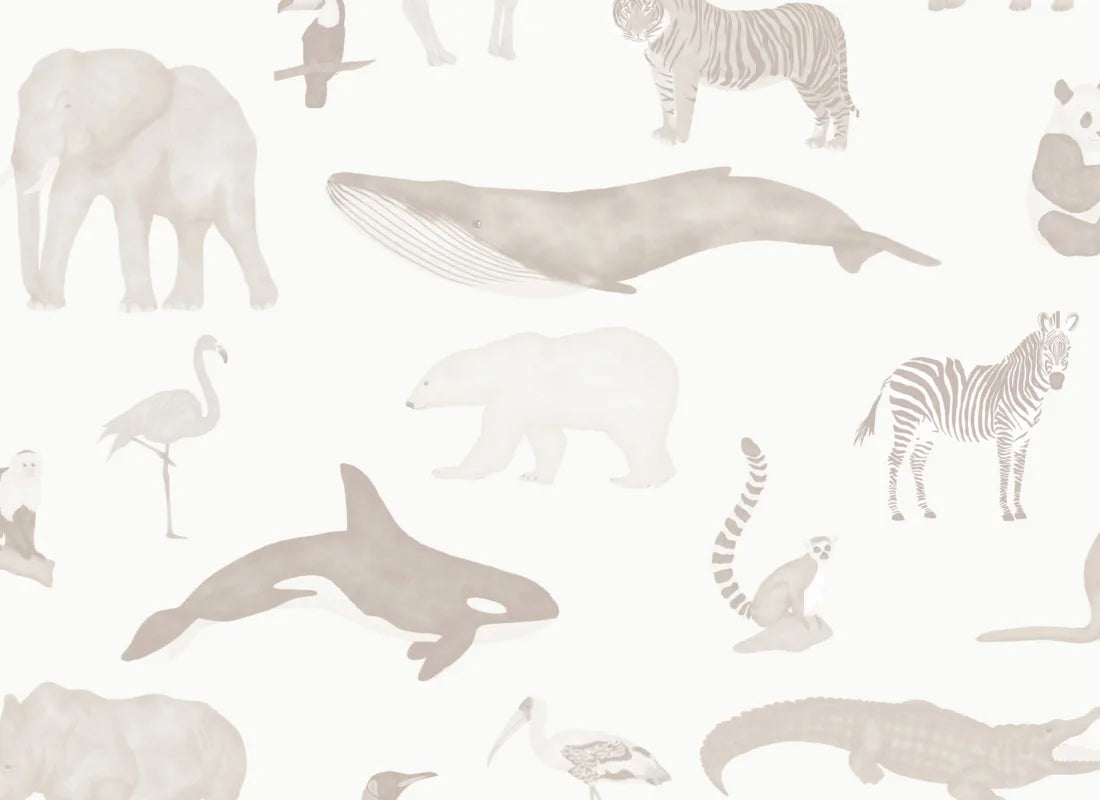Animalia