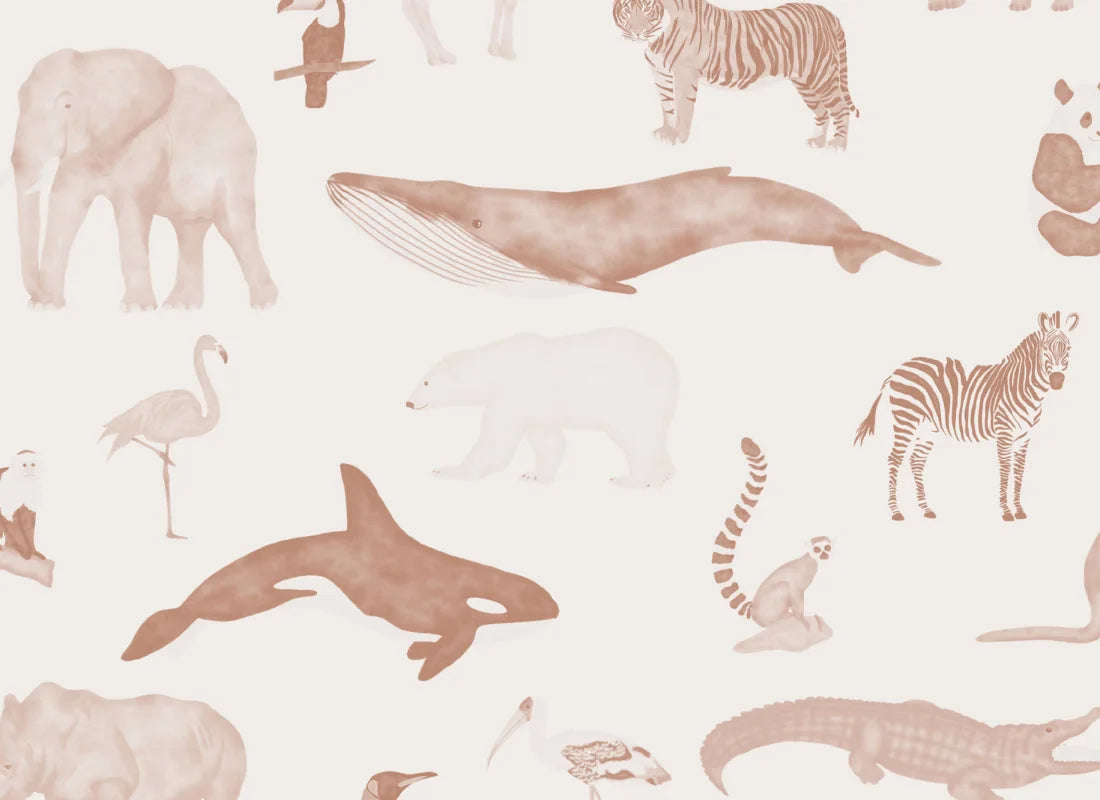 Animalia Terracotta