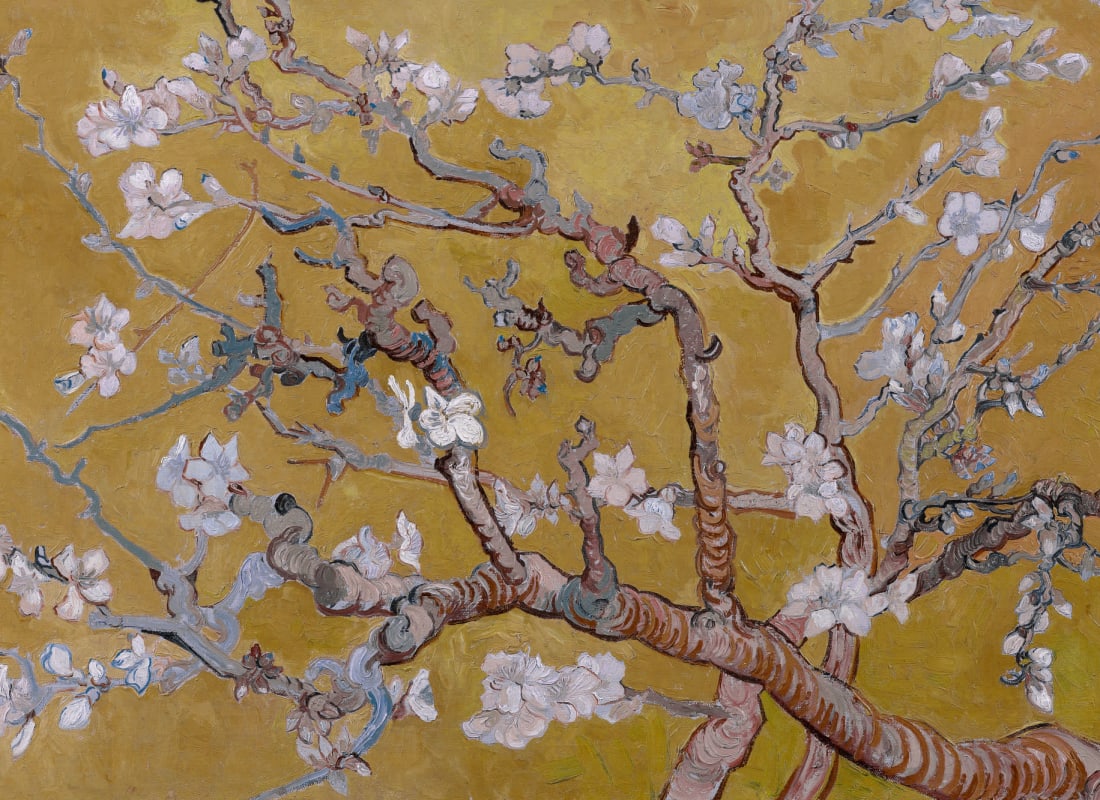 Almond Yellow