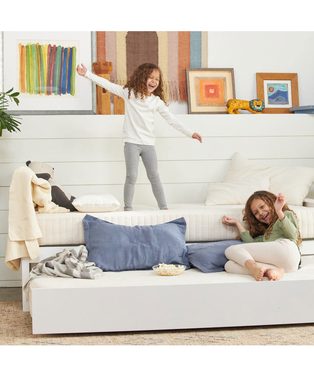 AVMEKDSKFRG-30, Twin / Single