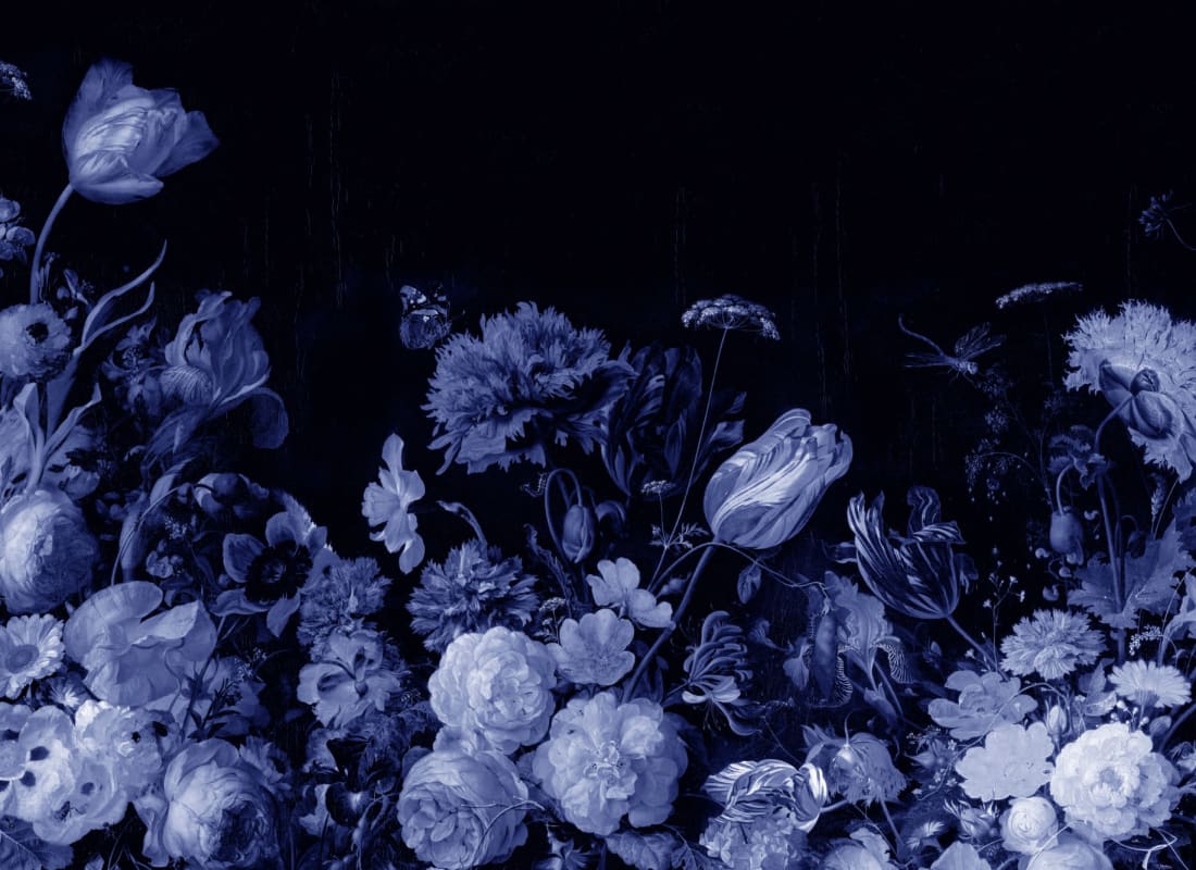 Cornelia Blue