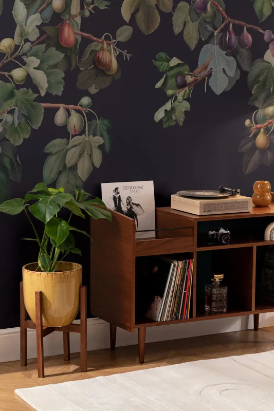 Ficus