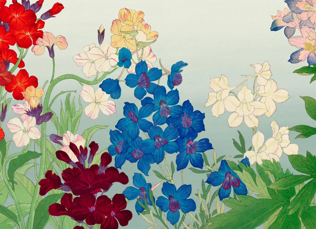 Delphinium
