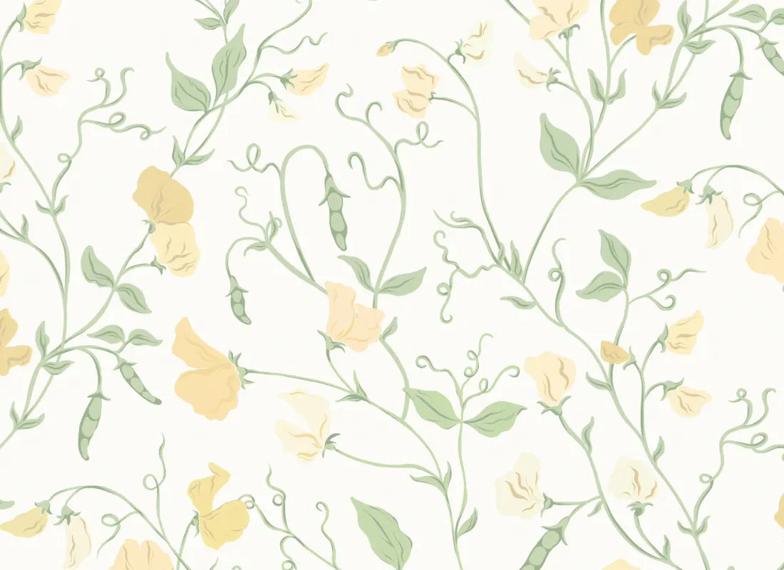Sweet Pea Yellow
