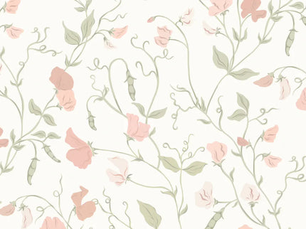 Sweet Pea Pink