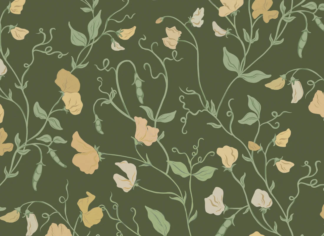 Sweet Pea Dark Yellow