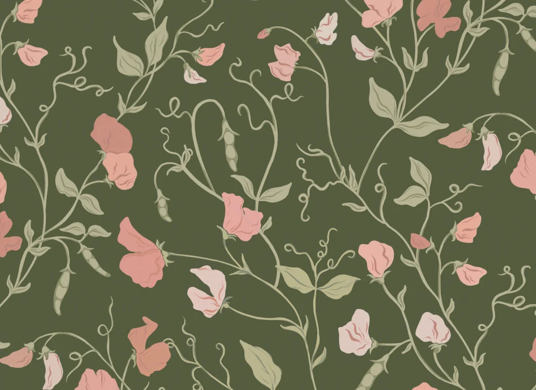 Sweet Pea Dark Pink