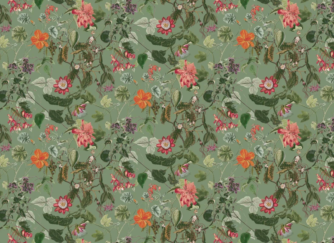 Nightshade Green
