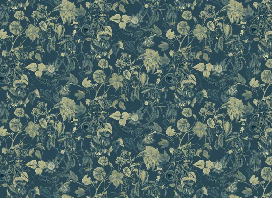 Nightshade Blue