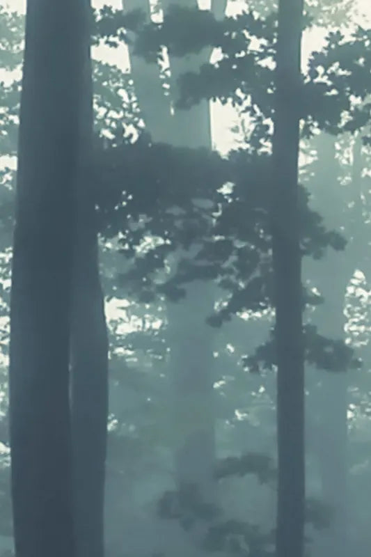 Sea of Trees