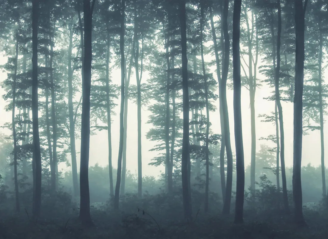 Sea of Trees