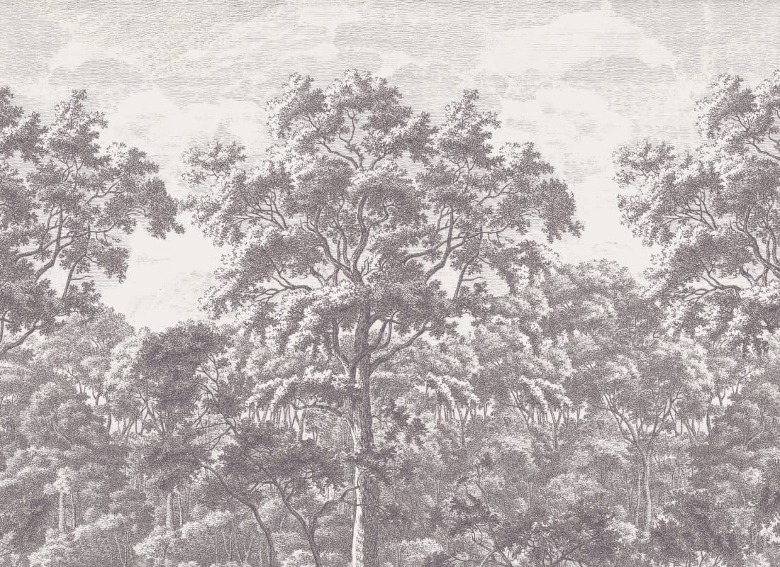 Wytham Grey