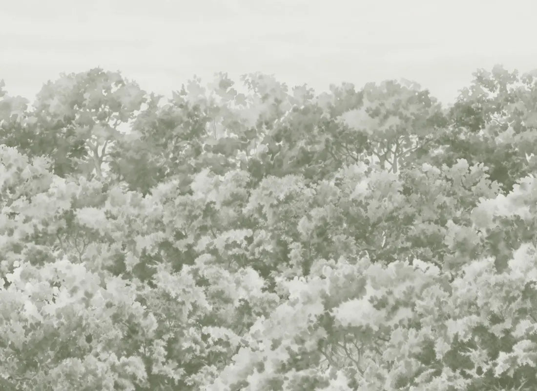 Buttonwood Sage