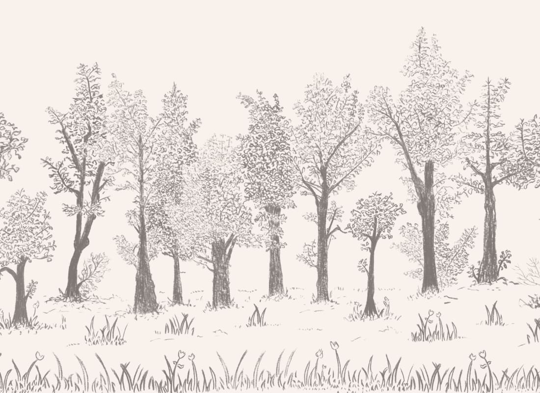 Timber Grey