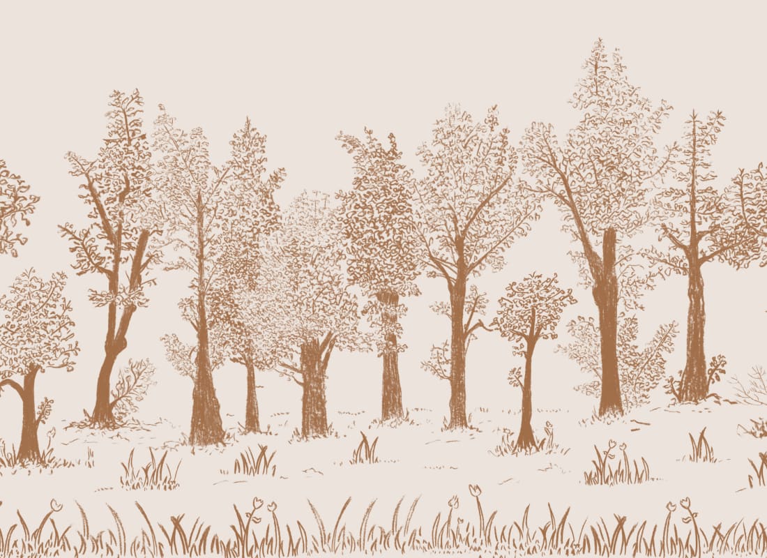 Timber Brown